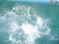 ala-P8170140.JPG

