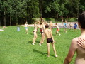 ala-P8170156.JPG
