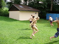 ala-P8170158.JPG
