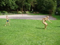 ala-P8170159.JPG
