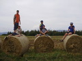 ala-P8170177.JPG
