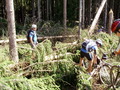 ala-P8180193.JPG

