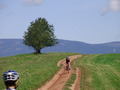 ala-P8180203.JPG

