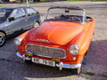 ala-P8180208.JPG

