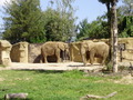 ala-P8190209.JPG
