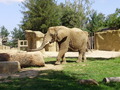ala-P8190211.JPG
