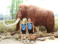 ala-P8190215.JPG
