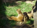 ala-P8190216.JPG
