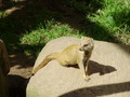 ala-P8190217.JPG
