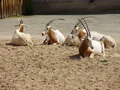 ala-P8190220.JPG

