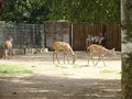 ala-P8190222.JPG
