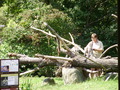 ala-P8190231.JPG
