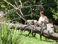 ala-P8190232.JPG
