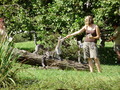 ala-P8190235.JPG
