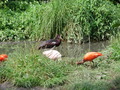 ala-P8190240.JPG
