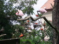 ala-P8190242.JPG
