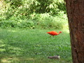 ala-P8190244.JPG
