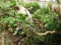 ala-P8190245.JPG
