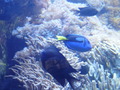 ala-P8190254.JPG
