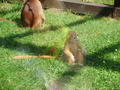 ala-P8190264.JPG
