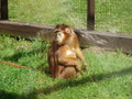 ala-P8190265.JPG
