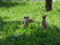 ala-P8190285.JPG
