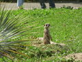 ala-P8190286.JPG
