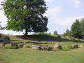 ala-P8190290.JPG
