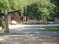 ala-P8190298.JPG
