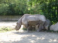 ala-P8190301.JPG
