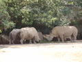 ala-P8190302.JPG
