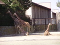 ala-P8190308.JPG
