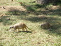 ala-P8190313.JPG
