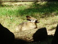 ala-P8190315.JPG
