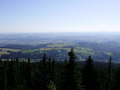 ala-P8200321.JPG

