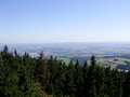 ala-P8200322.JPG
