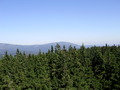 ala-P8200324.JPG
