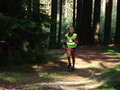 ala-P8210363.JPG

