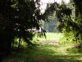 ala-P8210376.JPG
