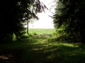 ala-P8210378.JPG
