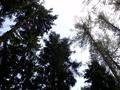 ala-P8210379.JPG

