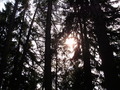 ala-P8210380.JPG
