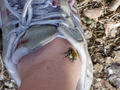 ala-P8210423.JPG
