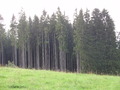 ala-P8210433.JPG
