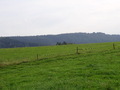 ala-P8210434.JPG
