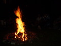 ala-P8210458.JPG
