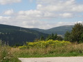 jirka-P1010035.JPG
