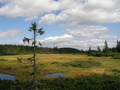 jirka-P1010042.JPG

