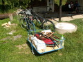 muty-z3-PICT4970.JPG
