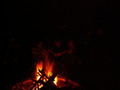 muty-z3-PICT5061.JPG
